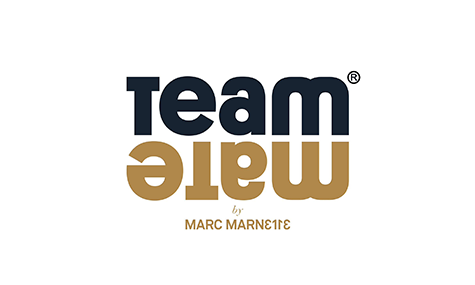logo team mate